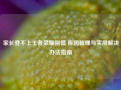家长登不上王者荣耀别慌 原因梳理与实用解决办法指南