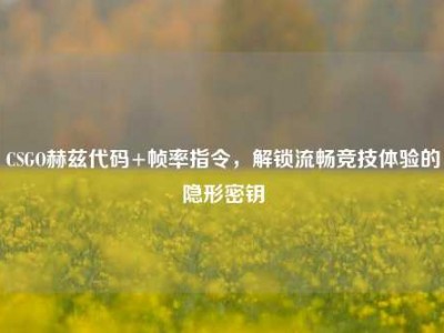 CSGO赫兹代码+帧率指令，解锁流畅竞技体验的隐形密钥