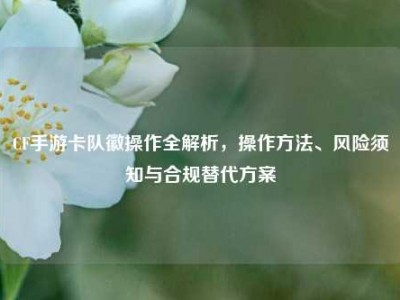 CF手游卡队徽操作全解析，操作方法、风险须知与合规替代方案