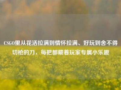 CSGO里从花活拉满到情怀拉满、好玩到舍不得切枪的刀，每把都藏着玩家专属小乐趣