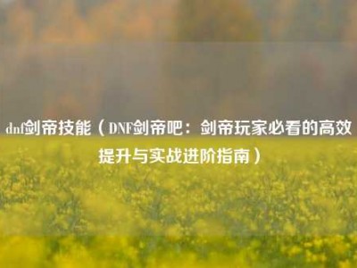 dnf剑帝技能（DNF剑帝吧：剑帝玩家必看的高效提升与实战进阶指南）