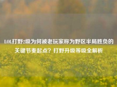 LOL打野2级为何被老玩家称为野区半局胜负的关键节奏起点？打野升级等级全解析