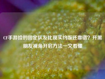 CF手游捡的固定队友比现实约饭还靠谱？开黑朋友视角开启方法一文看懂