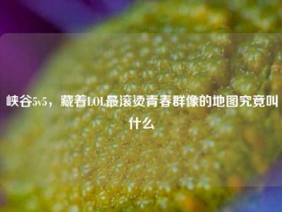 峡谷5v5，藏着LOL最滚烫青春群像的地图究竟叫什么