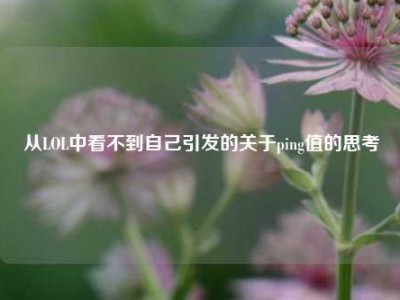 从LOL中看不到自己引发的关于ping值的思考