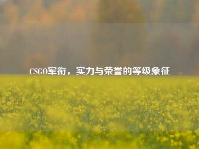 CSGO军衔，实力与荣誉的等级象征
