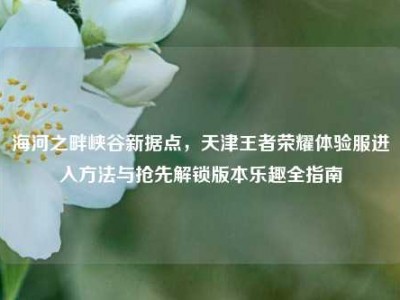 海河之畔峡谷新据点，天津王者荣耀体验服进入方法与抢先解锁版本乐趣全指南