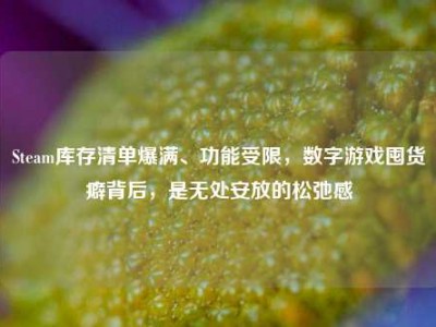 Steam库存清单爆满、功能受限，数字游戏囤货癖背后，是无处安放的松弛感