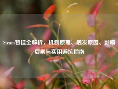 Steam暂挂全解析，机制原理、触发原因、影响后果与实用避坑指南