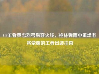 CF王者黄忠烈弓燃穿火线，枪林弹雨中重燃老将荣耀的王者出装指南