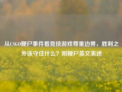 从CSGO鞭尸事件看竞技游戏尊重边界，胜利之外该守住什么？附鞭尸英文表述
