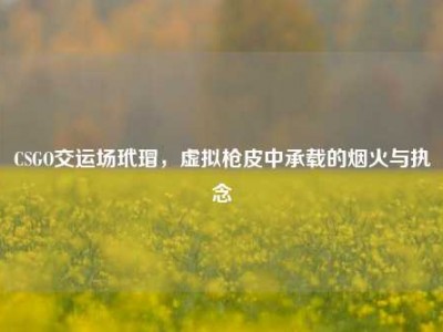 CSGO交运场玳瑁，虚拟枪皮中承载的烟火与执念