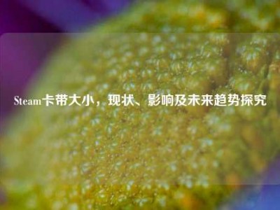 Steam卡带大小，现状、影响及未来趋势探究