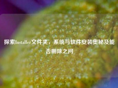 探索Installer文件夹，系统与软件安装奥秘及能否删除之问