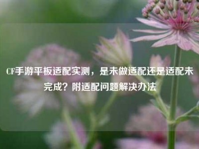 CF手游平板适配实测，是未做适配还是适配未完成？附适配问题解决办法