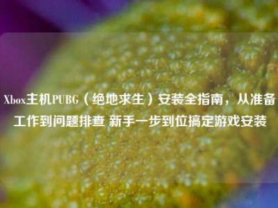 Xbox主机PUBG（绝地求生）安装全指南，从准备工作到问题排查 新手一步到位搞定游戏安装