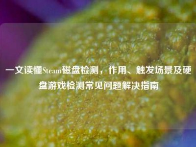 一文读懂Steam磁盘检测，作用、触发场景及硬盘游戏检测常见问题解决指南
