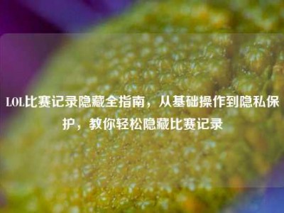 LOL比赛记录隐藏全指南，从基础操作到隐私保护，教你轻松隐藏比赛记录
