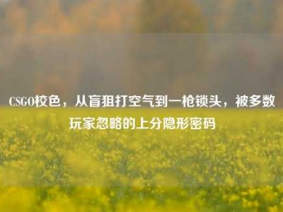CSGO校色，从盲狙打空气到一枪锁头，被多数玩家忽略的上分隐形密码