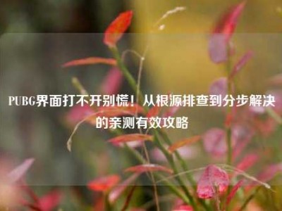 PUBG界面打不开别慌！从根源排查到分步解决的亲测有效攻略