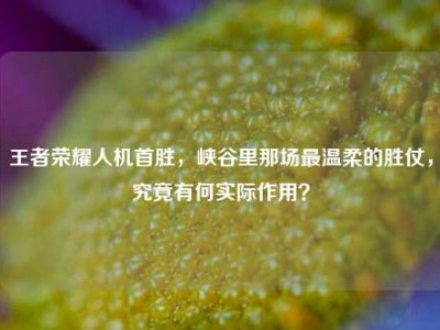 王者荣耀人机首胜，峡谷里那场最温柔的胜仗，究竟有何实际作用？