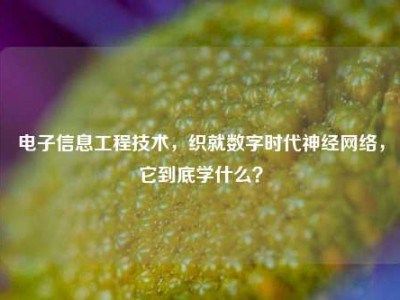 电子信息工程技术，织就数字时代神经网络，它到底学什么？