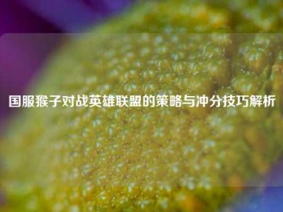 国服猴子对战英雄联盟的策略与冲分技巧解析