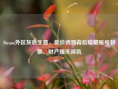 Steam外区灰色生意，低价诱惑背后暗藏账号封禁、财产损失深坑