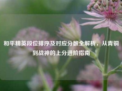 和平精英段位排序及对应分数全解析，从青铜到战神的上分进阶指南