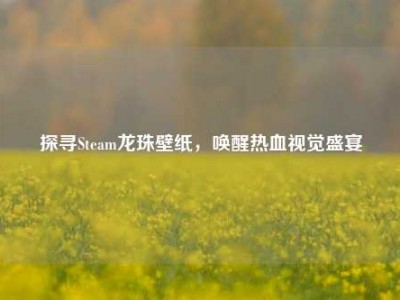 探寻Steam龙珠壁纸，唤醒热血视觉盛宴