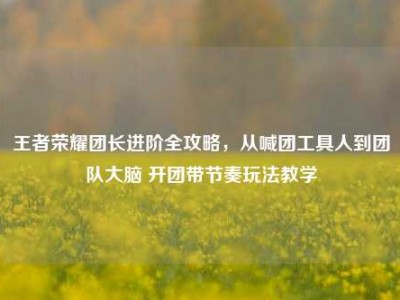 王者荣耀团长进阶全攻略，从喊团工具人到团队大脑 开团带节奏玩法教学