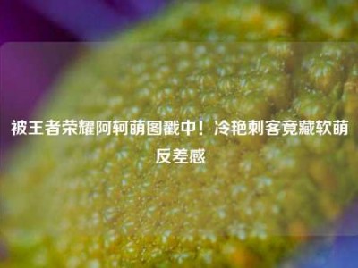 被王者荣耀阿轲萌图戳中！冷艳刺客竟藏软萌反差感