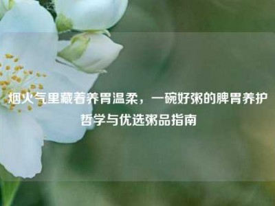 烟火气里藏着养胃温柔，一碗好粥的脾胃养护哲学与优选粥品指南