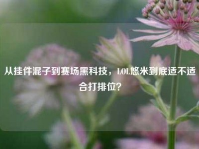 从挂件混子到赛场黑科技，LOL悠米到底适不适合打排位？