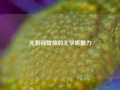 光影间绽放的王学圻魅力