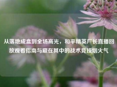 从落地成盒到全场高光，和平精英厂长直播回放观看指南与藏在其中的战术竞技烟火气