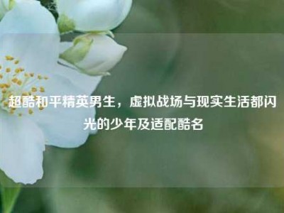 超酷和平精英男生，虚拟战场与现实生活都闪光的少年及适配酷名