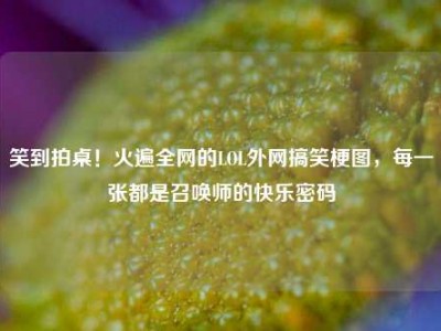 笑到拍桌！火遍全网的LOL外网搞笑梗图，每一张都是召唤师的快乐密码