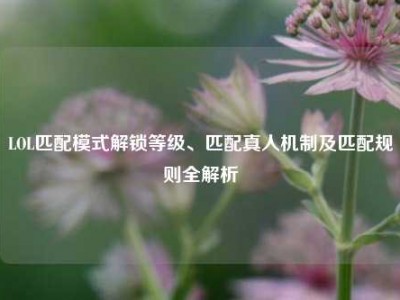 LOL匹配模式解锁等级、匹配真人机制及匹配规则全解析