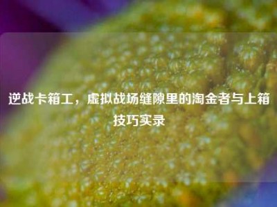 逆战卡箱工，虚拟战场缝隙里的淘金者与上箱技巧实录