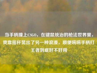当手柄撞上CSGO，在键鼠统治的枪法世界里，我靠摇杆晃出了另一种浪漫，顺便唠唠手柄打王者到底好不好用