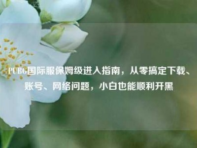 PUBG国际服保姆级进入指南，从零搞定下载、账号、网络问题，小白也能顺利开黑