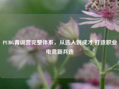 PUBG青训营完整体系，从选人到成才 打造职业电竞新兵连