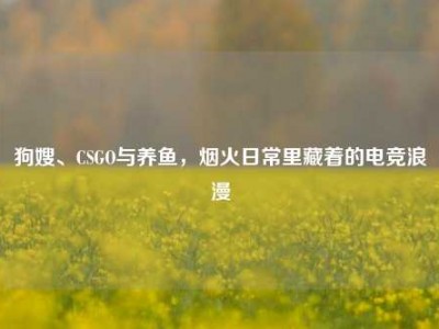 狗嫂、CSGO与养鱼，烟火日常里藏着的电竞浪漫
