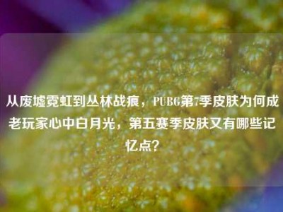 从废墟霓虹到丛林战痕，PUBG第7季皮肤为何成老玩家心中白月光，第五赛季皮肤又有哪些记忆点？