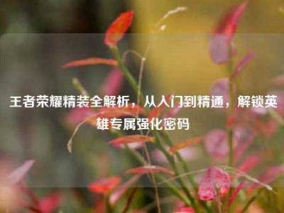 王者荣耀精装全解析，从入门到精通，解锁英雄专属强化密码