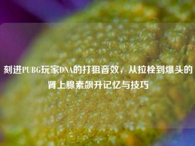 刻进PUBG玩家DNA的打狙音效，从拉栓到爆头的肾上腺素飙升记忆与技巧