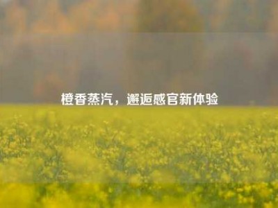 橙香蒸汽，邂逅感官新体验