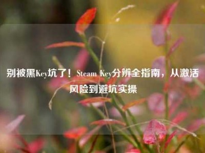 别被黑Key坑了！Steam Key分辨全指南，从激活风险到避坑实操