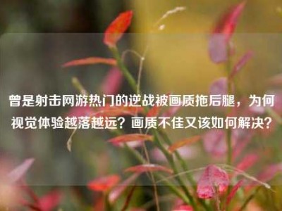 曾是射击网游热门的逆战被画质拖后腿，为何视觉体验越落越远？画质不佳又该如何解决？
